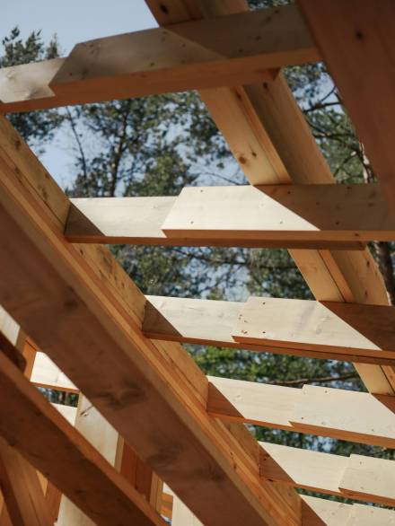 pexels-ron-lach-8817839